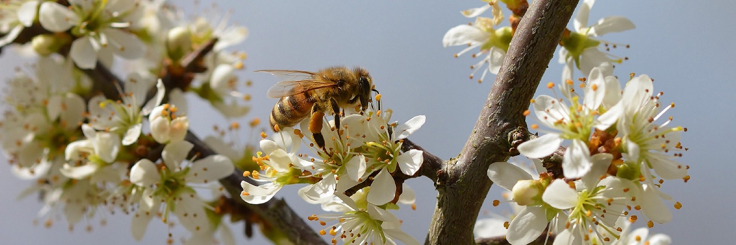 News und Inspiration für den Frühling aus Deutschland
